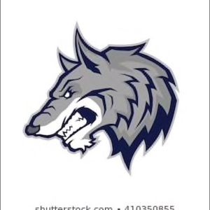 Meet your Posher, Gray